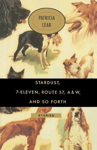 Stardust, 7-Eleven, Route 57, A&W, and So Forth Stories
