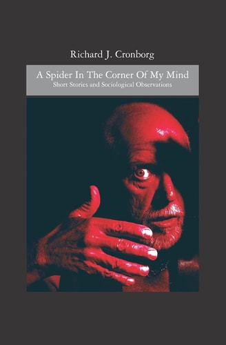 A Spider in the Corner of My Mind Short Stories and Sociological Observations