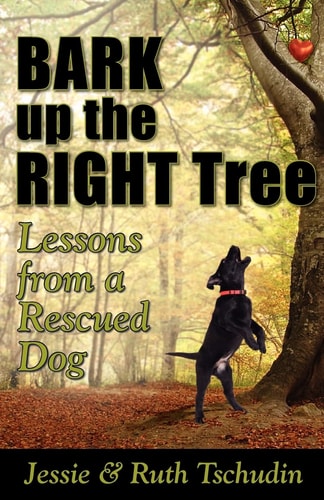 Bark Up the Right Tree Lessons from a Rescued Dog