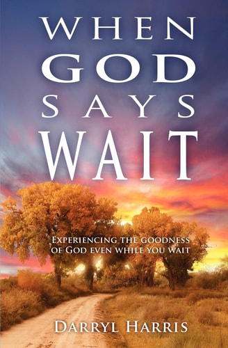 When God Says Wait Experiencing the Goodness of God Even While You Wait