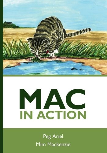 Mac In Action