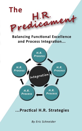 The H. R. Predicament Balancing Functional Excellence and Process Integration... Pratical H. R. Strategies