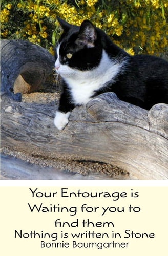 Your Entourage Is Waiting for You to Find Them Nothing Is Written in Stone