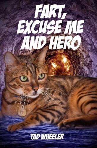 Fart, Excuse Me and Hero Hero Saves The President And Excuse Me Charges The Enemy