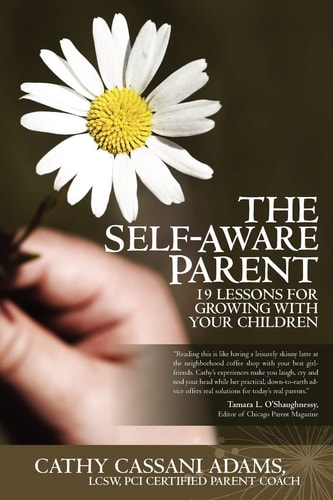 The Self-Aware Parent 19 Lessons for Growing with Your Children