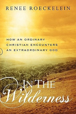 In The Wilderness How An Ordinary Christian Encounters an Extraordinary God