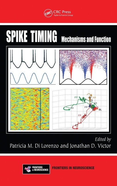 Spike Timing: Mechanisms and Function