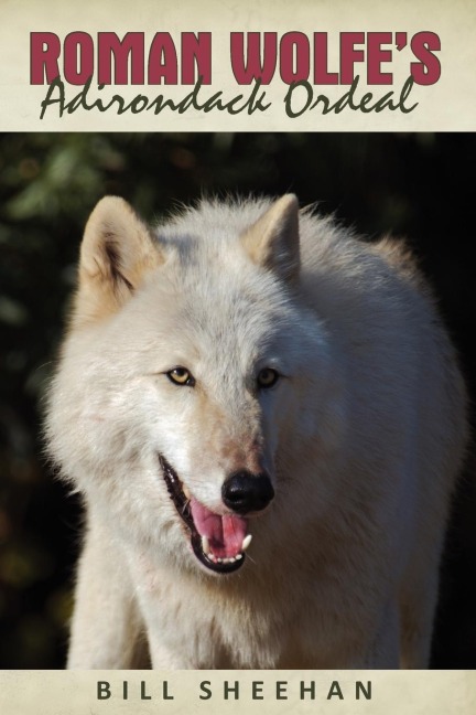 Roman Wolfes Adirondack Ordeal