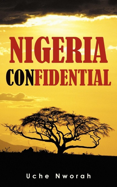 Nigeria Confidential: A Bloggers musings about his country