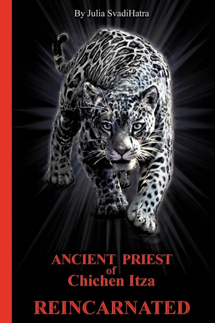 THE PRIEST: Ancient Priest of Chichen Itza Reincarnated