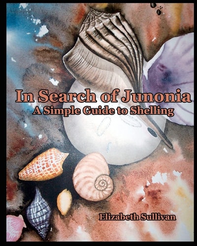 In Search Of Junonia A Simple Guide To Shelling