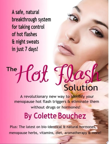 The Hot Flash Solution A Breakthrough Program For Taking Control Of Hot Flashes In Just 7 Days!