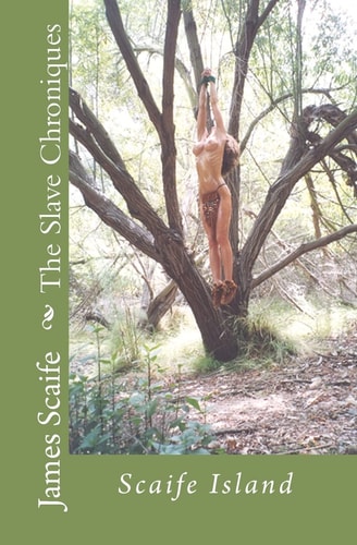 The Slave Chroniques Book 1 Slave Island Scaife Island
