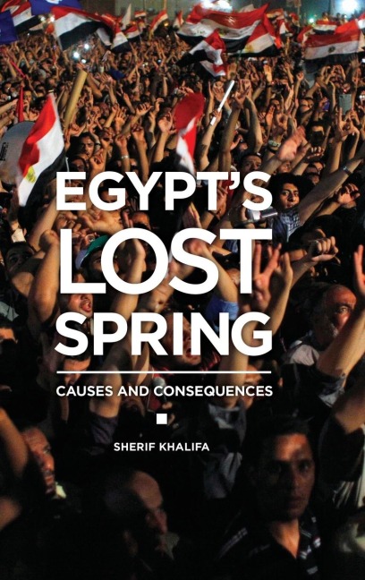Egypts Lost Spring: Causes and Consequences
