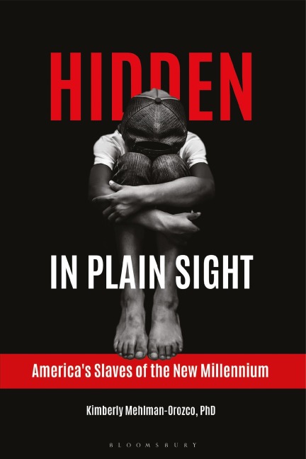 Hidden in Plain Sight: Americas Slaves of the New Millennium