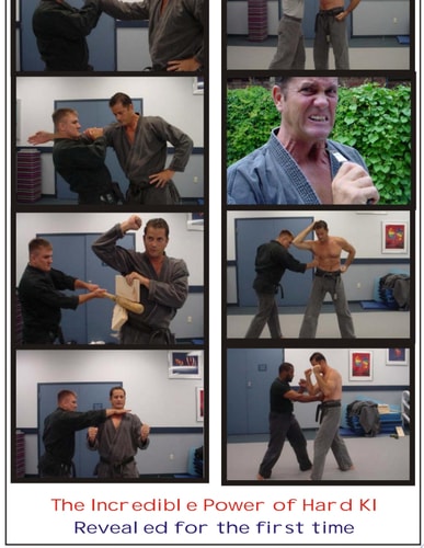 Amazing Secrets of the Martial Arts Masters