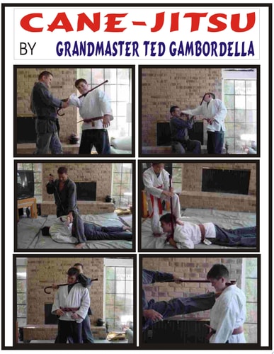 Cane Jitsu The Legal Carry Self Defense Weapon