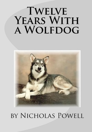 Twelve Years with a Wolfdog
