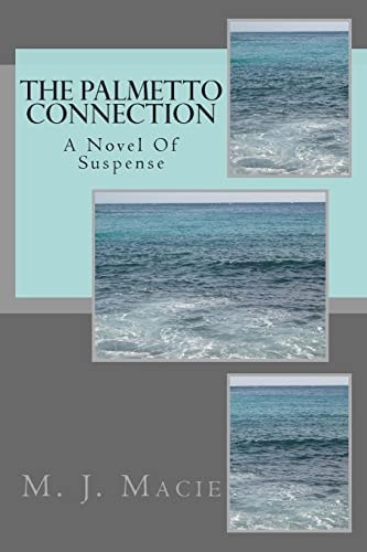 The Palmetto Connection A Novel Of Suspense By