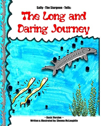The Long And Daring Journey Basic Version