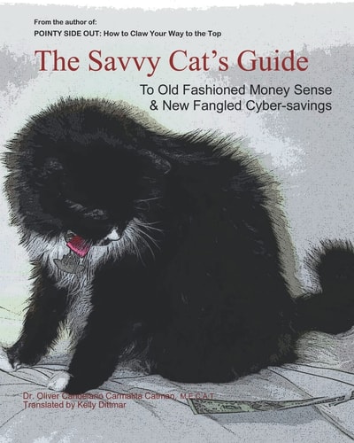 The Savvy Cat's Guide To Old Fashioned Money Sense & New Fangled Cyber Savings