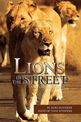 Lions in the Street And Other Stories