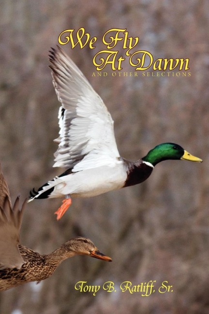 We Fly at Dawn