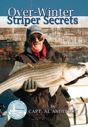 Over-winter Striper Secrets