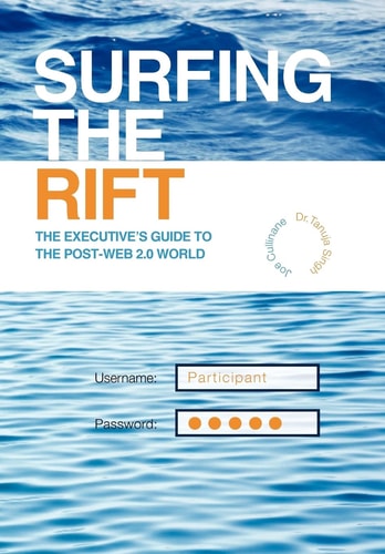 Surfing the Rift The Executive's Guide to the Post-Web 2. 0 World