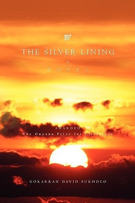 The Silver Lining A Novel
