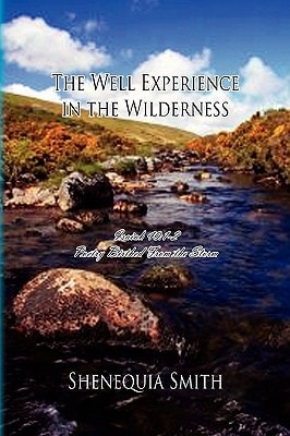 The Well Experience in the Wilderness Poetry Birthed from the Storm