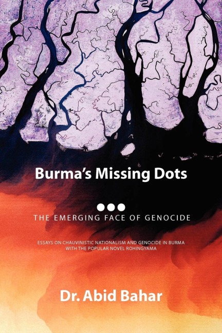 Burmas Missing Dots