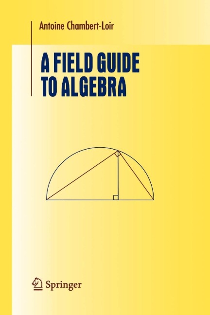 A Field Guide to Algebra