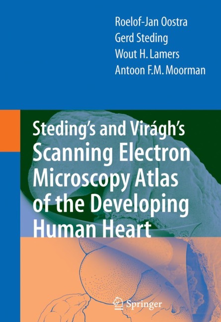 Stedings and Virághs Scanning Electron Microscopy Atlas of the Developing Human Heart