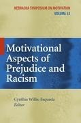Motivational Aspects of Prejudice and Racism