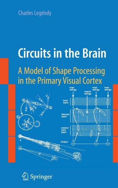 Circuits in the Brain: A Model of Shape Processing in the Primary Visual Cortex