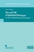 Rise and Fall of Epithelial Phenotype: Concepts of Epithelial-Mesenchymal Transition