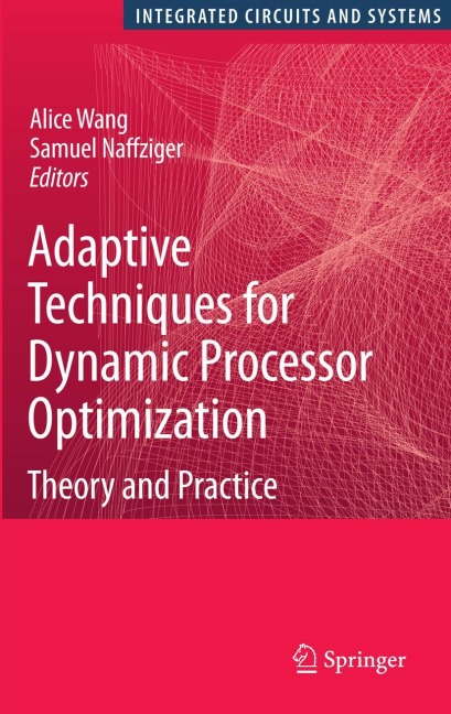 Adaptive Techniques for Dynamic Processor Optimization: Theory and Practice