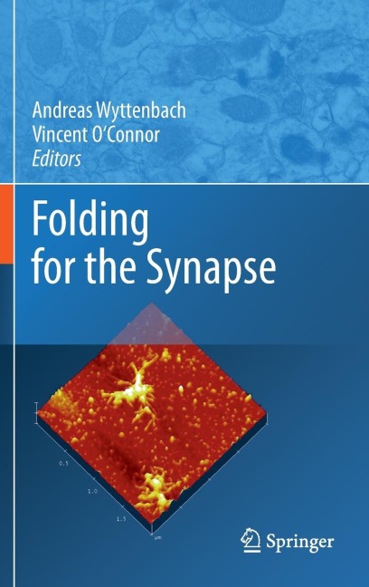 Folding for the Synapse