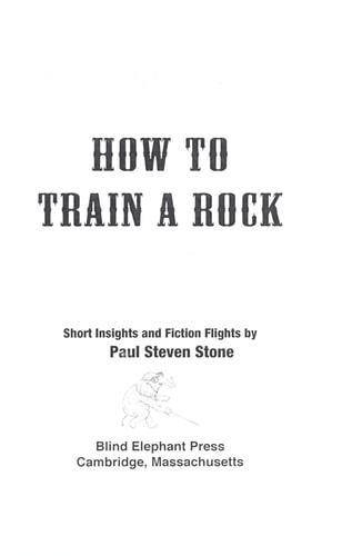 How To Train A Rock