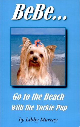 BeBe...Go to the Beach with the Yorkie Pup