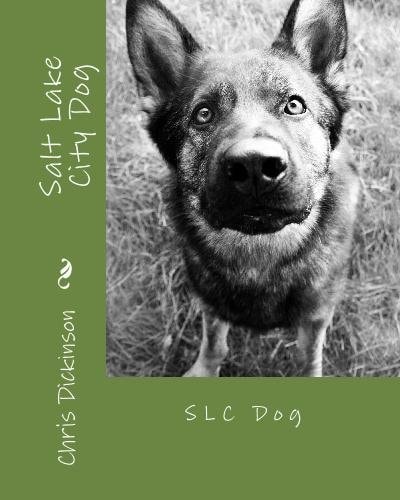 Salt Lake City Dog SLC Dog