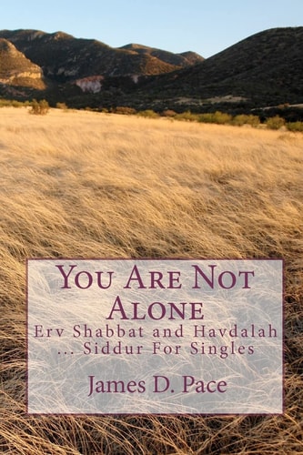 You Are Not Alone Erv Shabbat to Havdalah ... Siddur For Singles