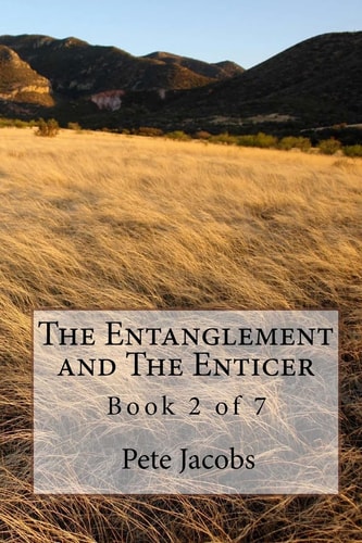 The Entanglement and The Enticer Book 2 of 7