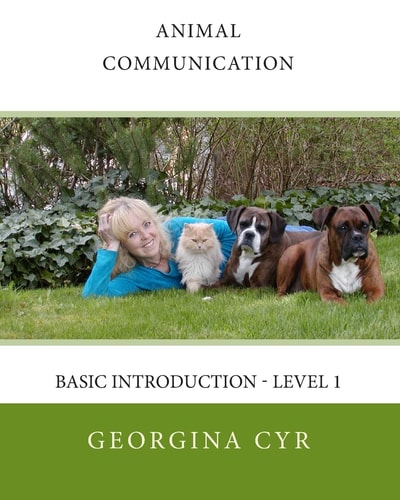 Animal Communication Basic Introduction - Level 1