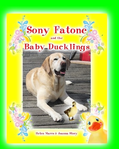 Sony Fatone and the Baby Ducklings Sony Fatone Saves The Baby Ducks