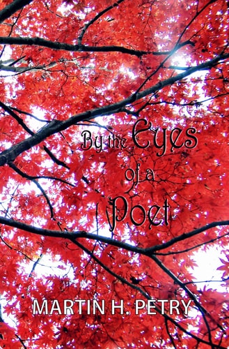By the Eyes of a Poet