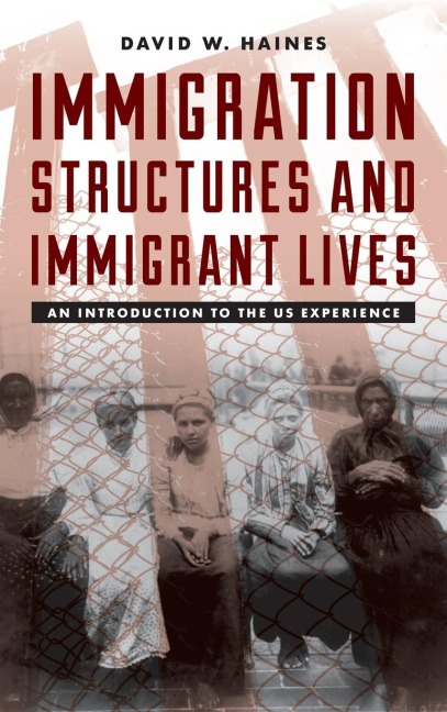 Immigration Structures and Immigrant Lives: An Introduction to the US Experience
