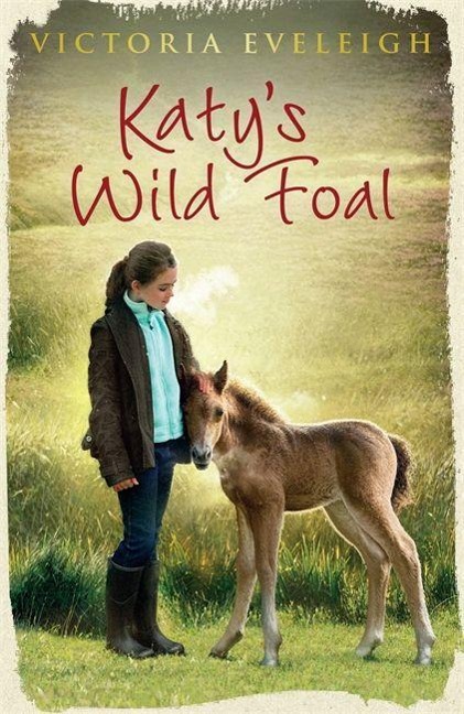 Katys Exmoor Ponies: Katys Wild Foal: Book 1