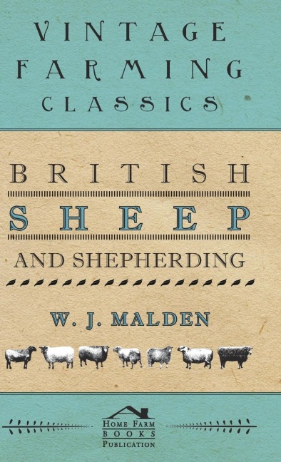 British Sheep And Shepherding